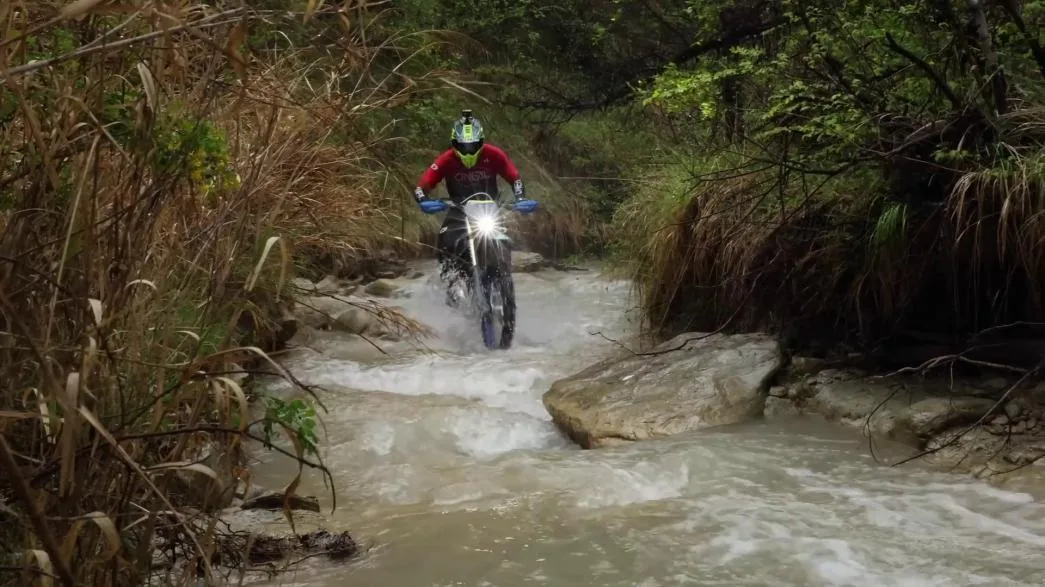 Sik bitki ortusu arasindan akan dereyi gecen enduro motosikleti.